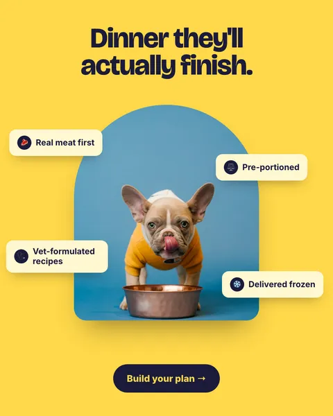 Meta ad for a dog food brand